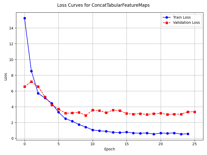 Loss Curves for ConcatTabularFeatureMaps
